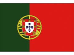 vlag-portugal-portugesche-gastenvlag-bezoekersvlag
