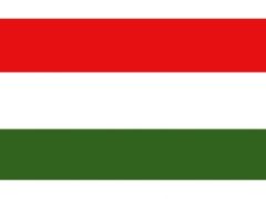 Hongaarse vlag 30x45