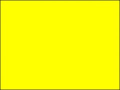 q-vlag-seinvlag-quarantaine-vlag-gele-vlag